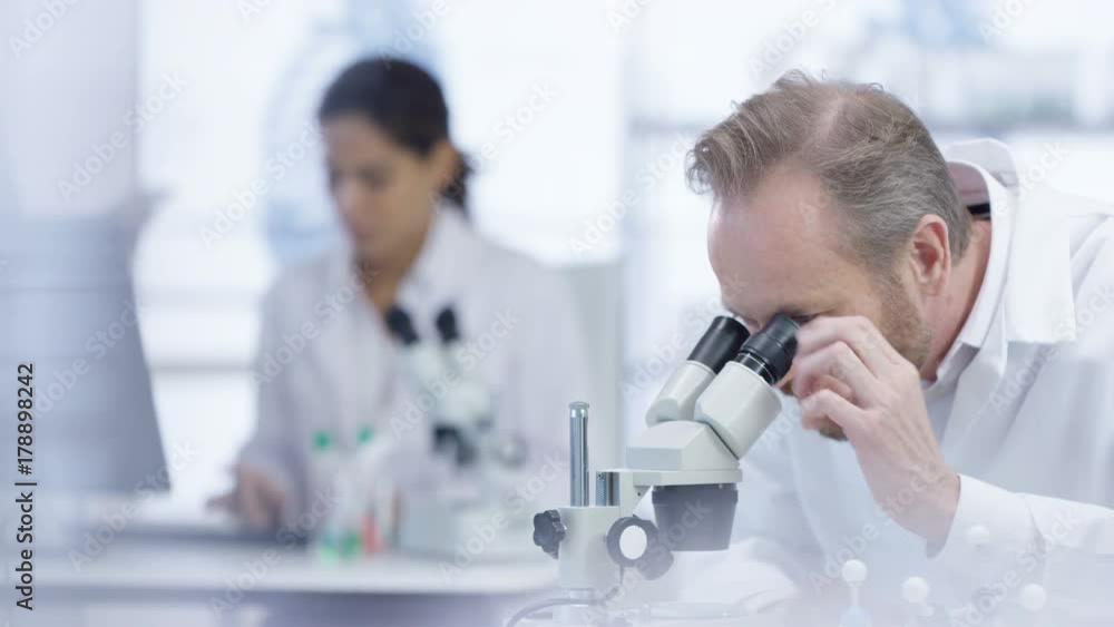 Medical research team in the lab, working on computers & analyzing samples Medical research team in the lab, working on computers & analyzing samples