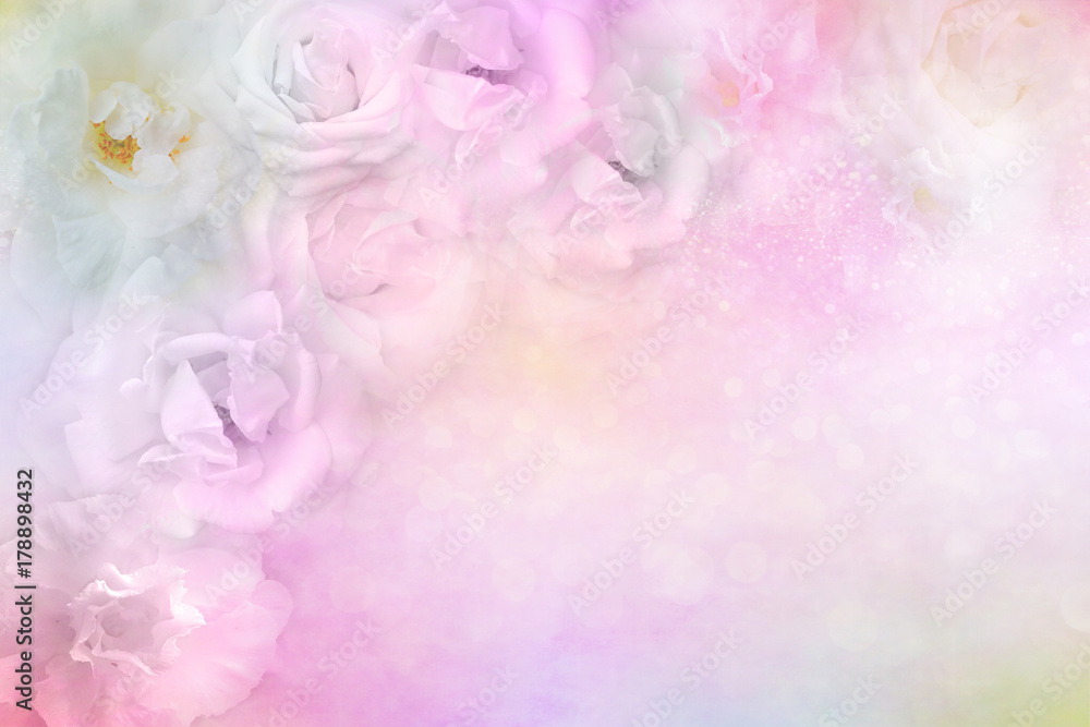 beautiful white pink roses flower border on soft glitter background for valentine or wedding card in pastel tone ,copy space for text beautiful white pink roses flower border on soft glitter background for valentine or wedding card in pastel tone ,copy space for text