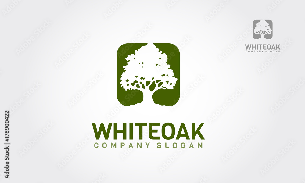 White Oak Tree Vector Logo Illustration. A simple white oak tree silhouette on green background. Modern vector sign. Premium quality illustration logo design concept.