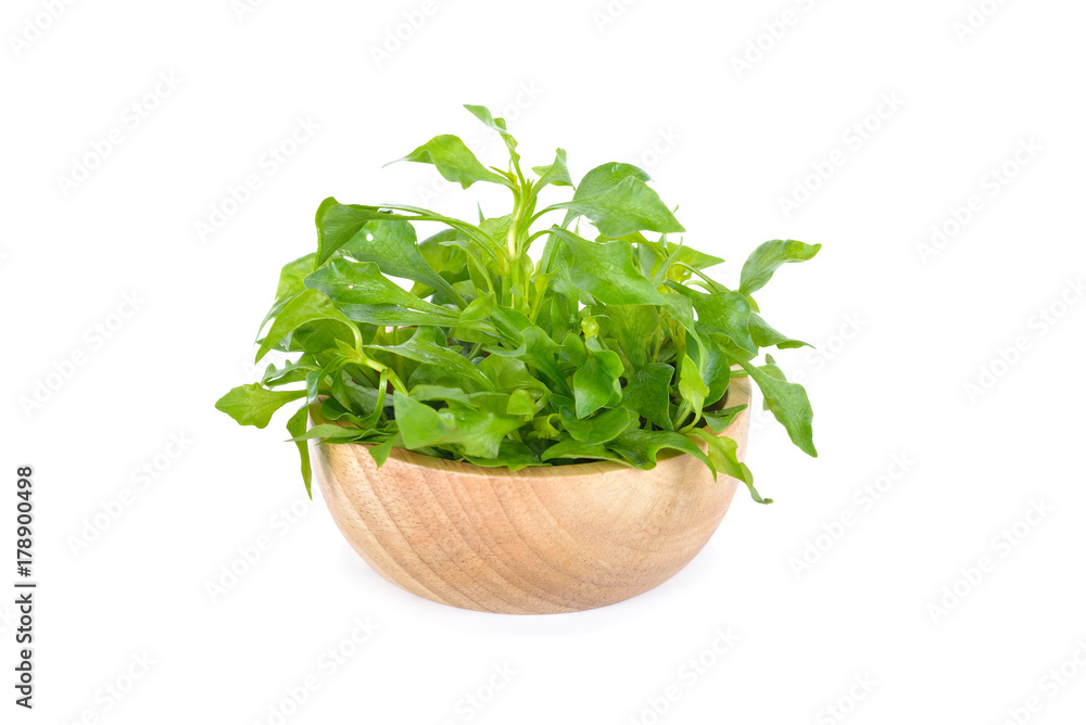 fresh watercress in wooden bowl on white background fresh watercress in wooden bowl on white background