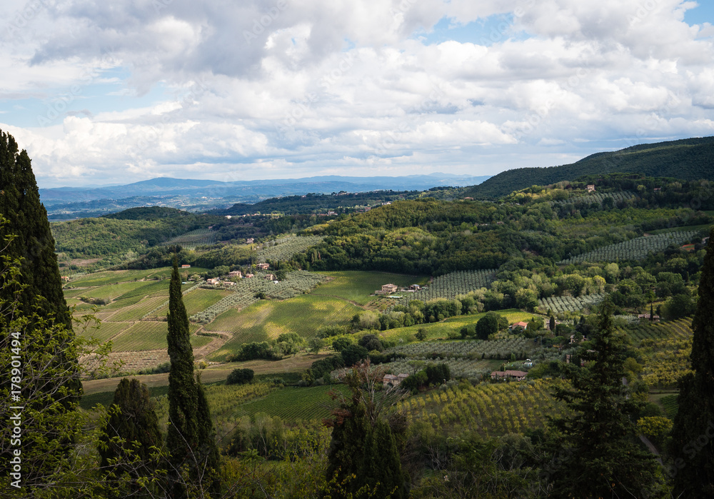 Obraz premium Italian Wineries