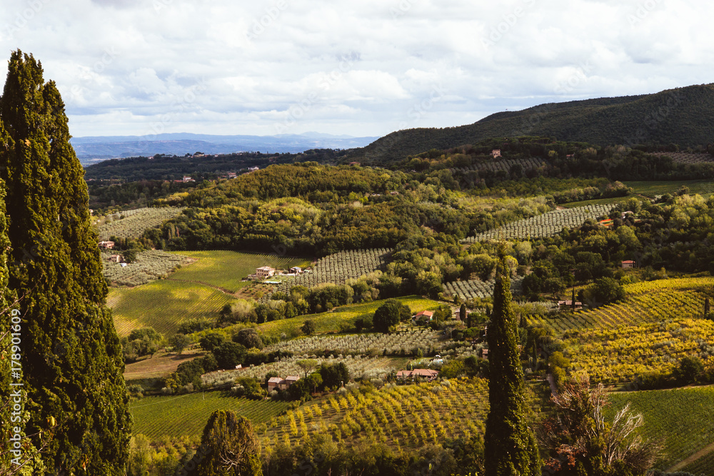 Obraz premium Montepulciano Valley