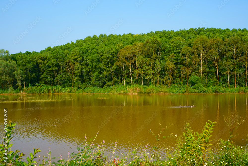 Lake and hill trees in the autumn afternoon Lake and hill trees in the autumn afternoon