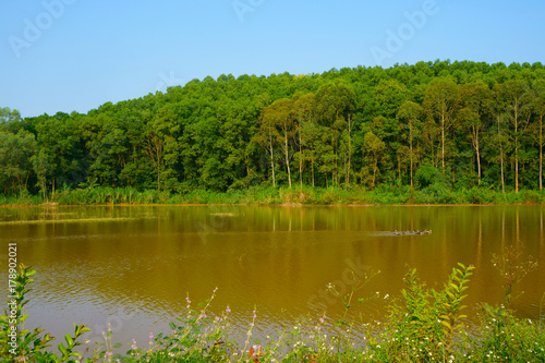 Lake and hill trees in the autumn afternoon