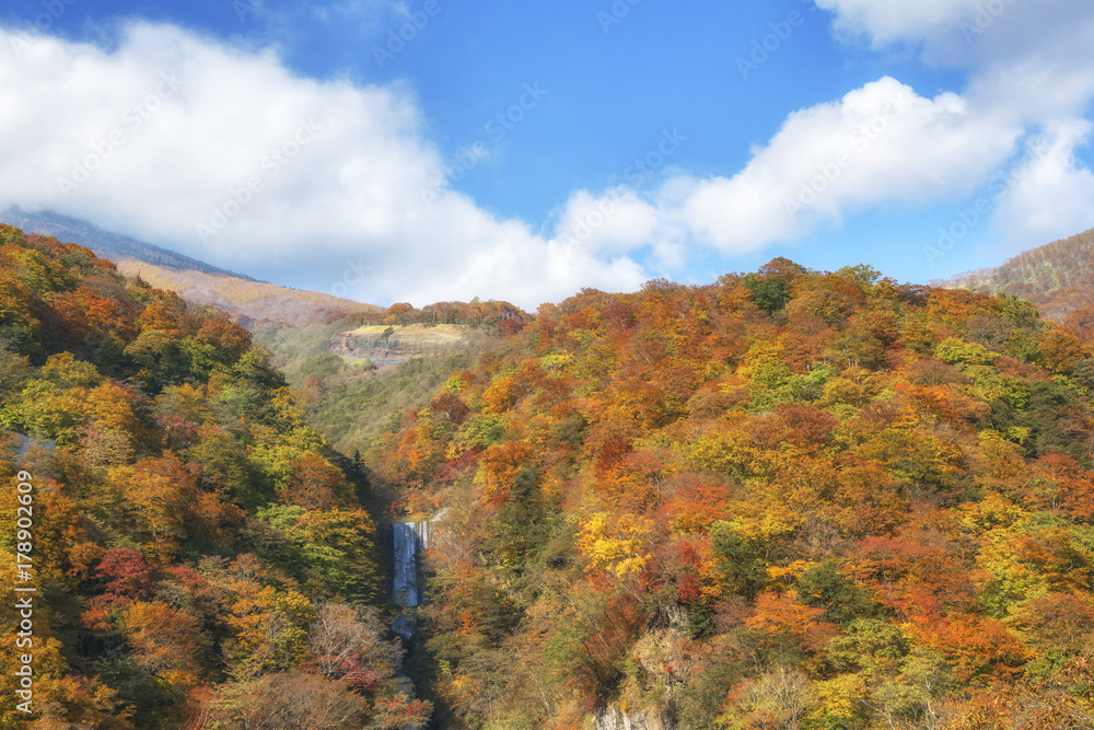 Autumn foliage on mountain and a great Kegon Falls. Akechidaira Plateau, Nikko, Tochigi, Japan.