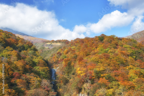 Autumn foliage on mountain and a great Kegon Falls. Akechidaira Plateau, Nikko, Tochigi, Japan.