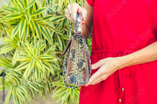 Closeup woman hands with fashion luxury snakeskin python handbag. Outdoors, Bali island.