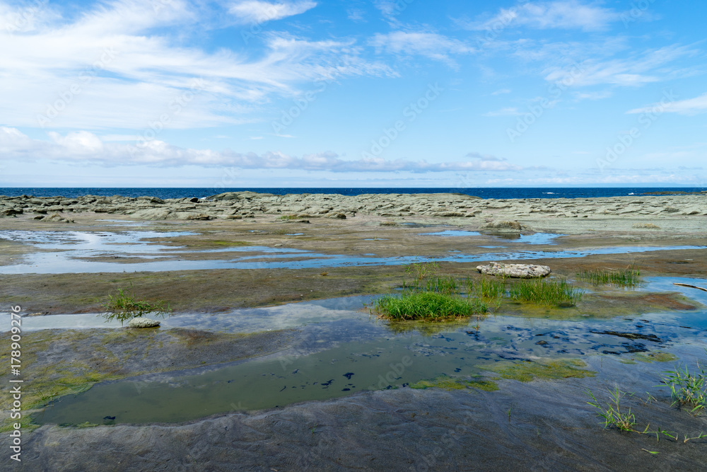 青森・千畳敷海岸の風景 青森・千畳敷海岸の風景