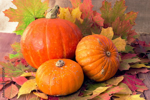 pumpkin composition on a wooden table  autumn mood