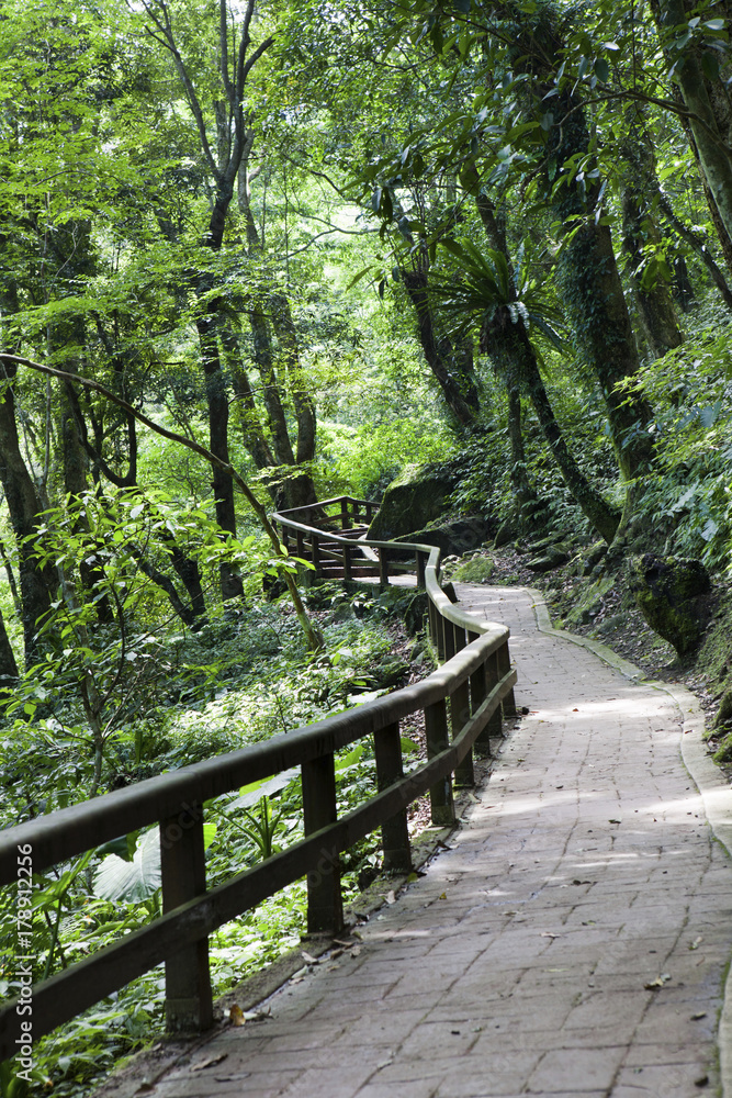 Obraz premium beauty in Taiwan