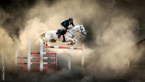 Fotografie, Tablou White horse