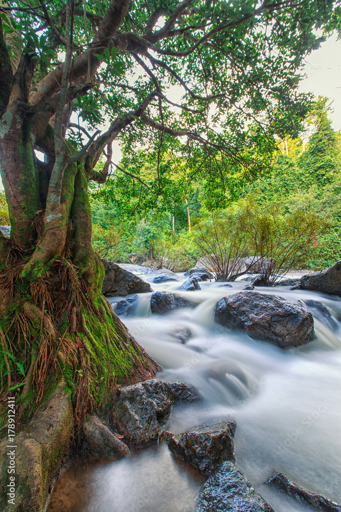 Fototapeta premium Nang rong waterfall at Nakorn nayok Province, Thailand