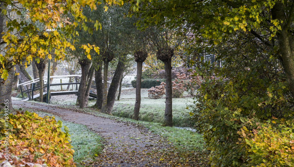 Naklejka premium Bike and Footpath in Autumn Giethoorn