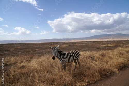 Ngorongoro Nationalpark Tansania