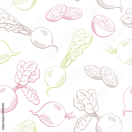 Beetroot graphic vegetable color seamless pattern sketch illustration vector