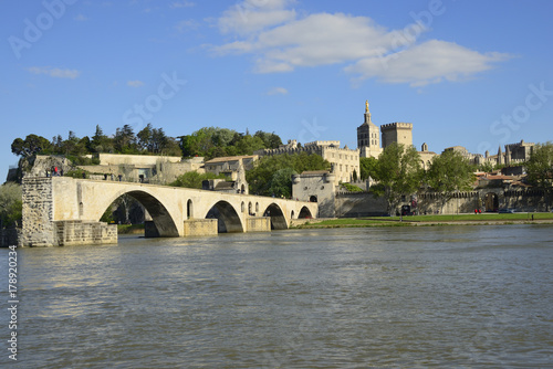 Pont d’Avignon sur le Rhône et palais des Papes à Avignon, Vaucluse, France - Avignon bridge on Rhône river and Popes’ palace in Provence, France © PlanetEarthPictures