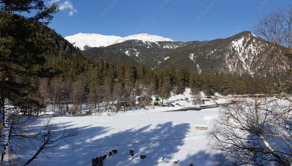 Winter panorama of the mountain with valleys and forest.