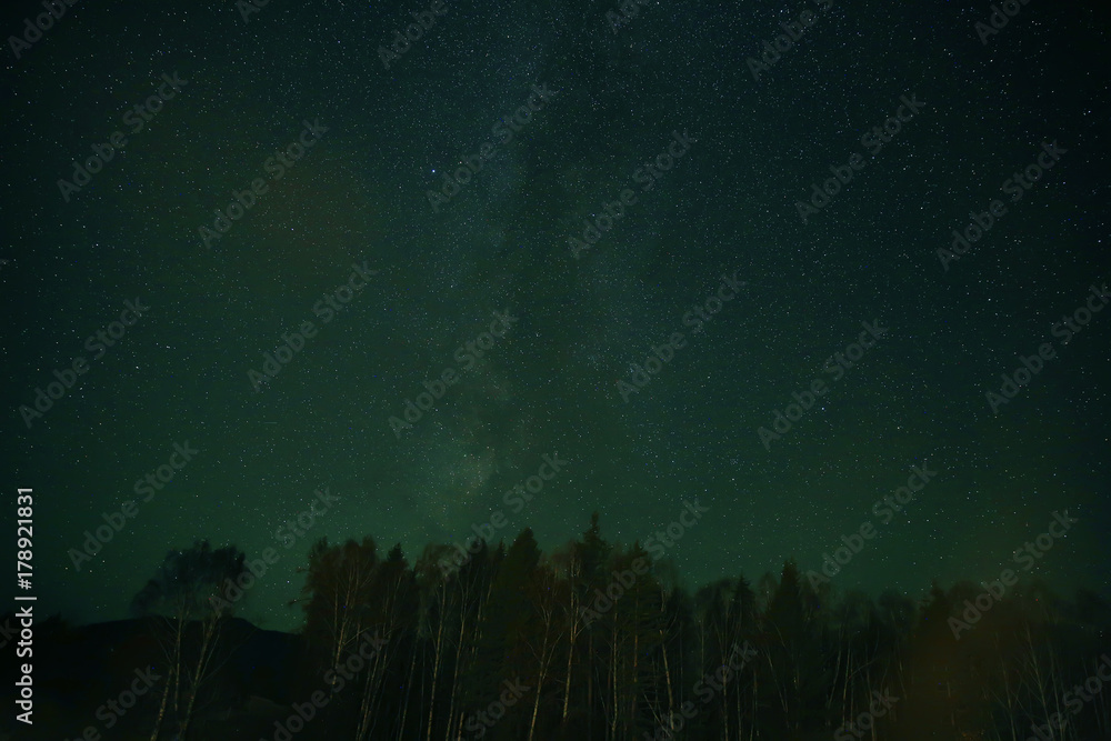 Fototapeta premium Night sky over rural landscape. Beautiful night starry sky