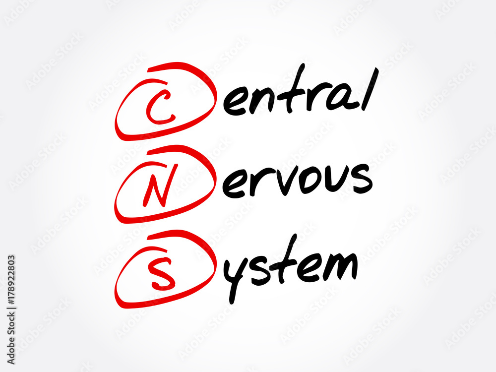 CNS - Central Nervous System acronym, concept background CNS - Central Nervous System acronym, concept background