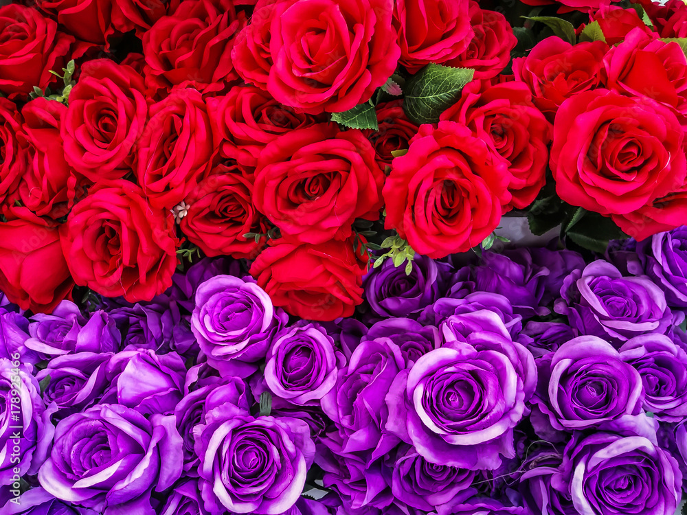 Obraz premium Thailand, Arrangement, Beauty, Birthday, Blossom