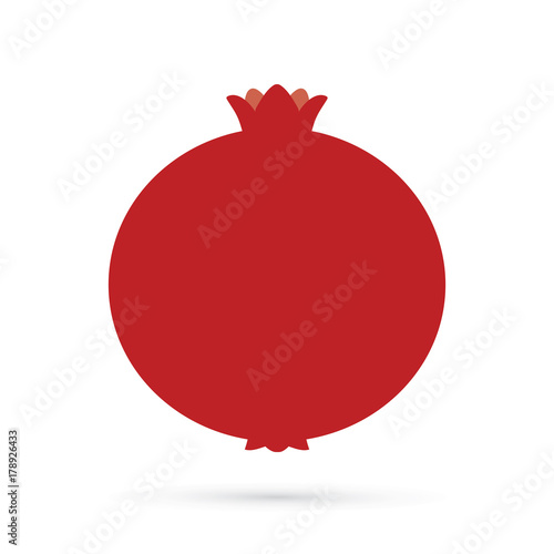 Pomegranate fruit graphic vector