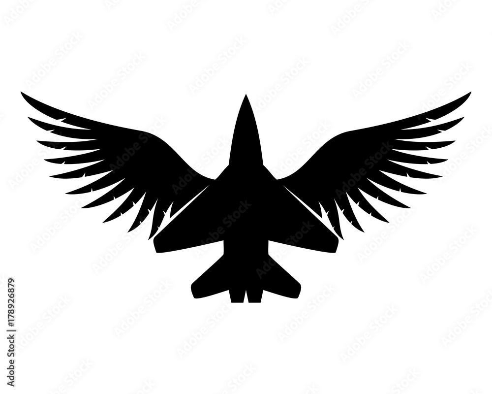 Obraz premium Aircraft and wings.