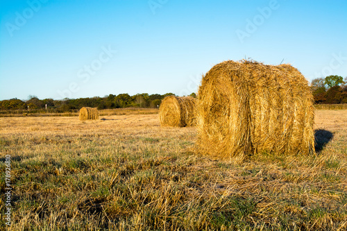 Farmland with haystacks in autumn.