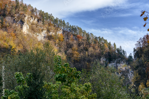 A row of trees on top of a cliff and an autumn landscape