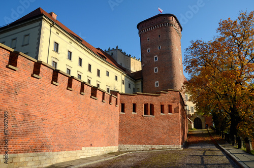 Obraz na płótnie The castle in Krakow, Poland (Wawel) w salonie
