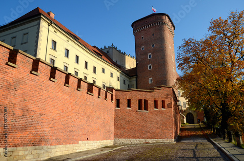 The castle in Krakow, Poland (Wawel)