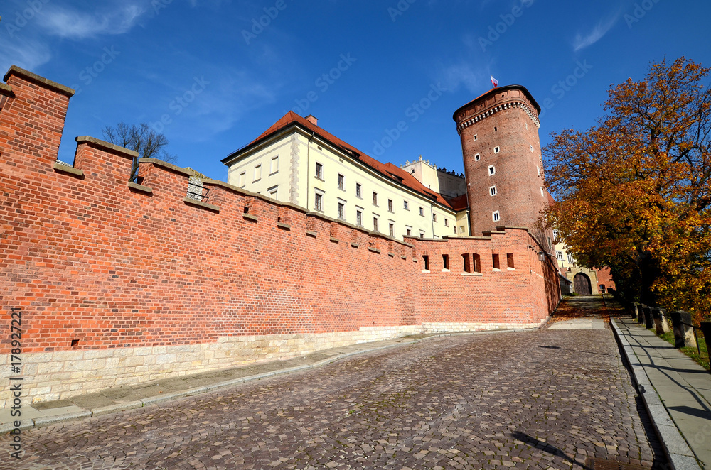 The castle in Krakow, Poland (Wawel)