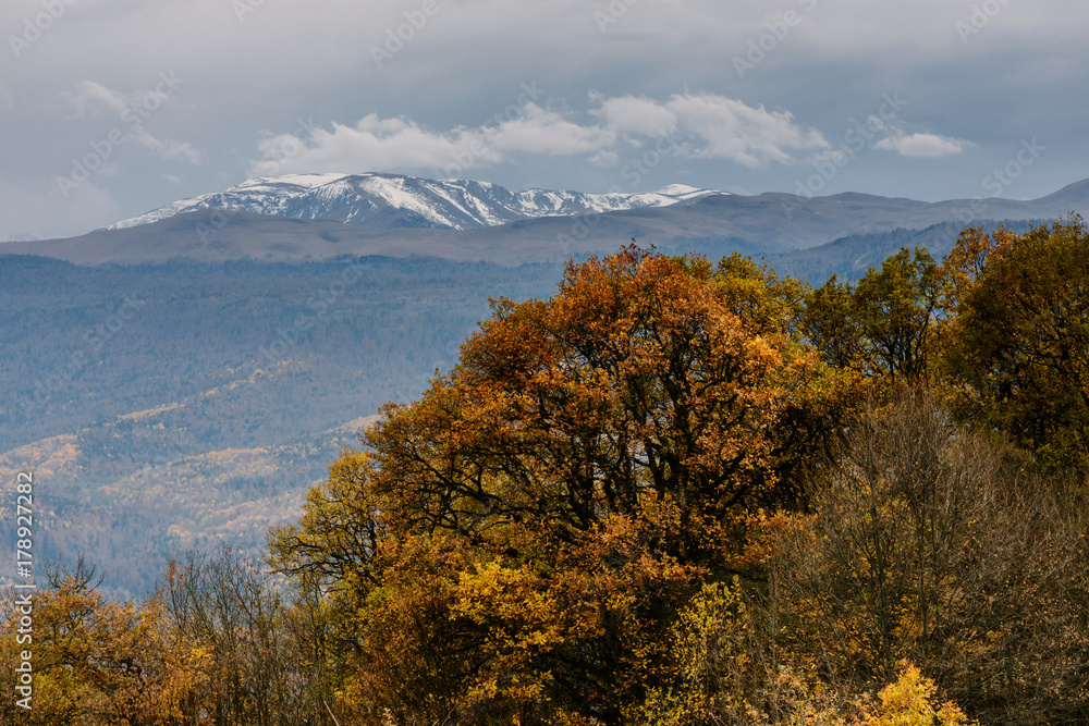 A fascinating view of the snowy peaks of the mountains through the bright autumn foliage