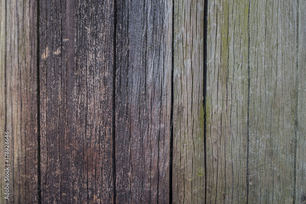 The wood wall texture surface image close up.