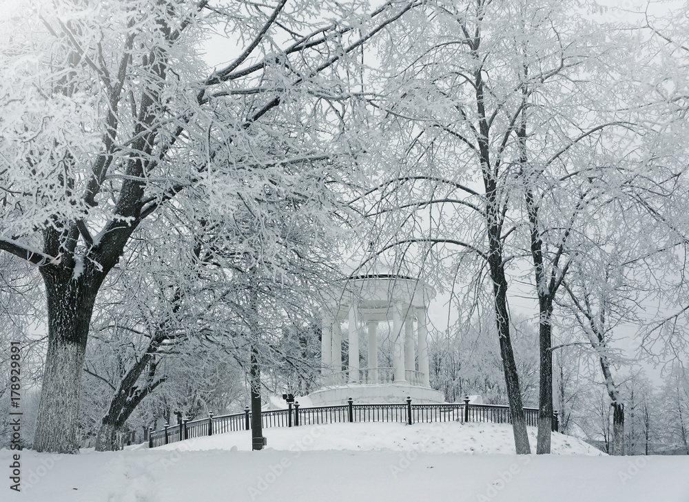 Winter nature, pavilion and snowy trees in park