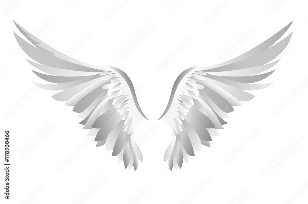 Obraz premium Wings. Vector illustration on white background. Black and white 