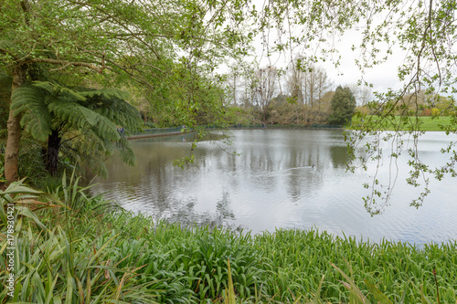 A lake surrounded by lush greenery in Hamilton Botanical Gardens New Zealand