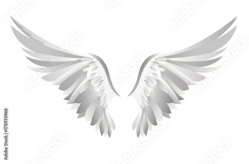 Wings. Vector illustration on white background. Black and white 