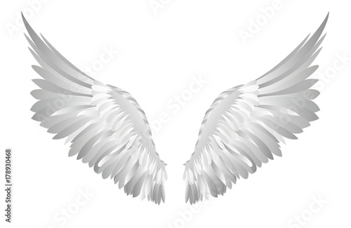 Wings. Vector illustration on white background. Black and white 