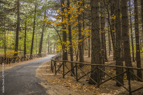 Road to volcano Etna in Autumn