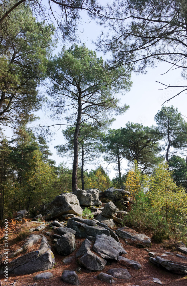 Chaos rocheux des gorges du Houx en forêt de Fontainebleau Chaos rocheux des gorges du Houx en forêt de Fontainebleau