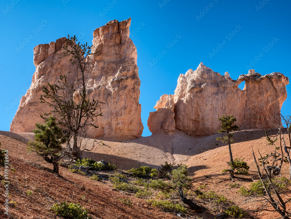 Fototapeta premium Bryce Canyon hoodoos Peek-a-boo trail, Utah
