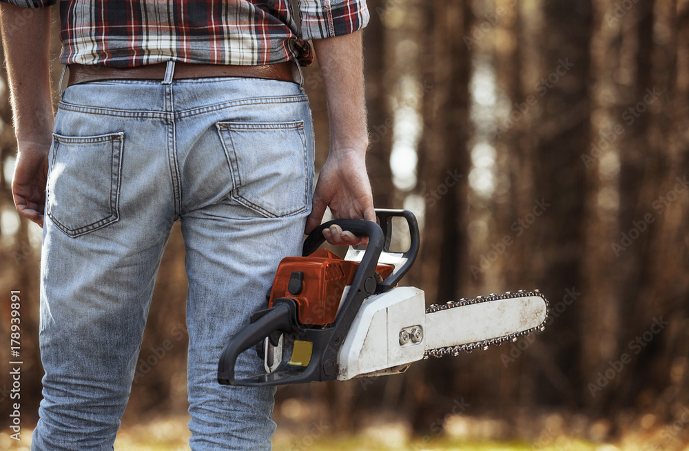 Lumberjack works with a saw in the woods