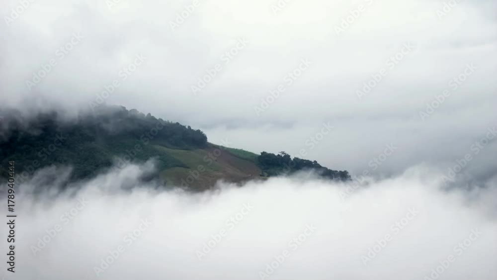 fog time lapse nature background fog time lapse nature background
