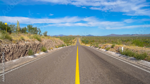 Sur la route de Basse Californie