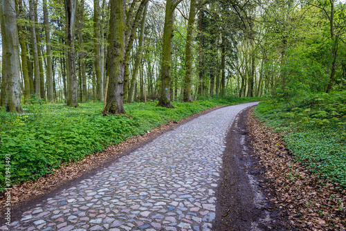 Cobblestones road in small village Drezewo in West pomerania region of Poland © Fotokon