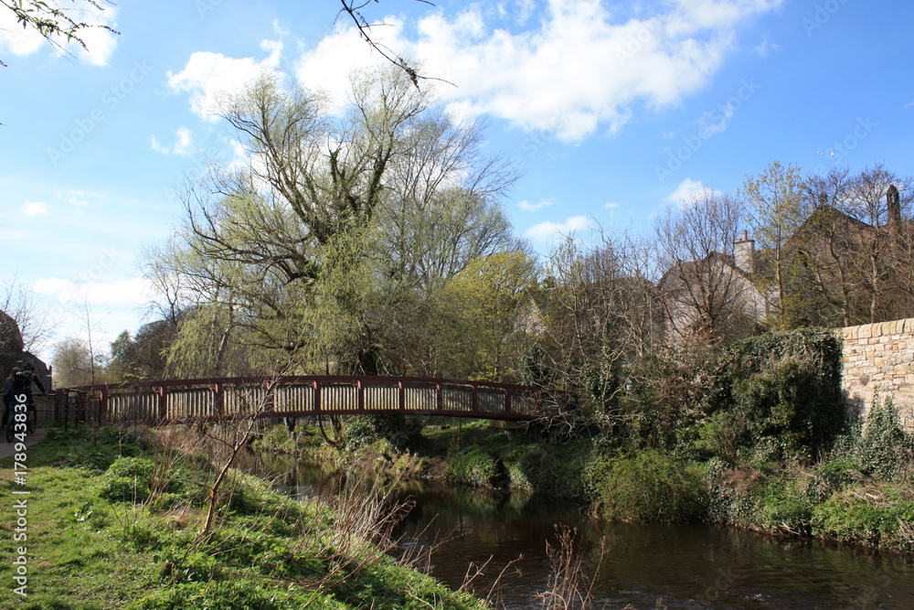 Fototapeta premium Bridge over river and nature