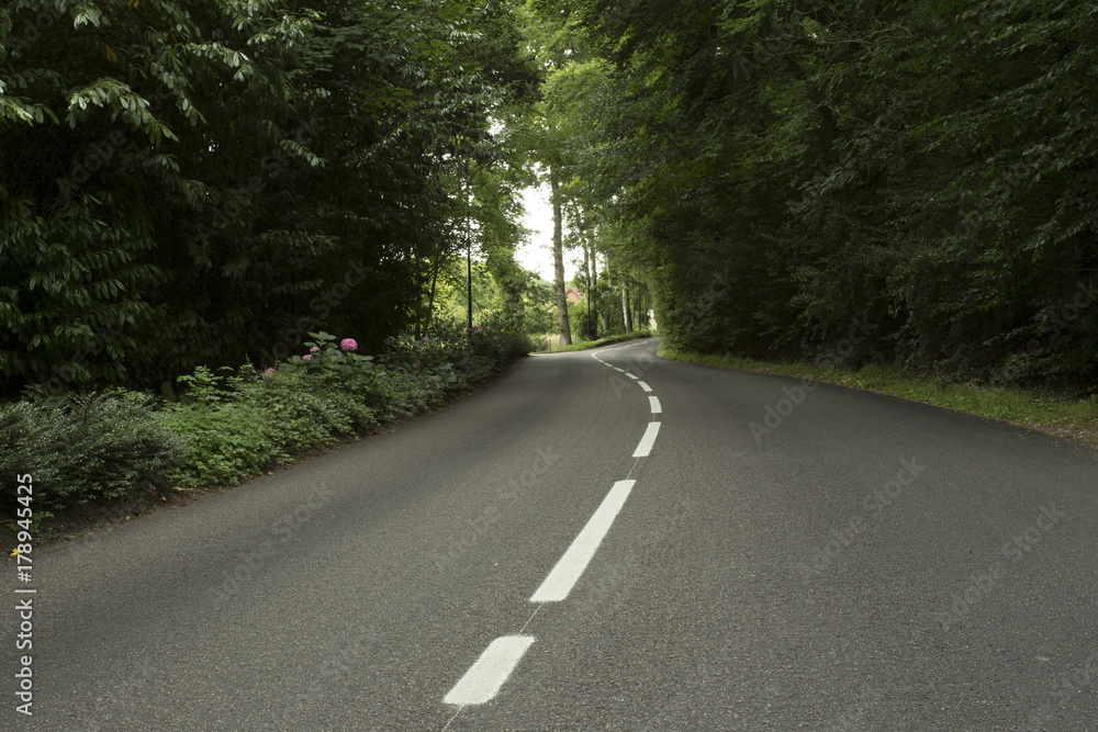 Obraz premium Empty country asphalt road passing through the green forest in the region of Normandy, France. Nature, countryside landscape, transportation and road network concept.