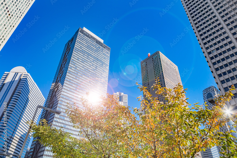 Obraz premium 都会のビルと木々