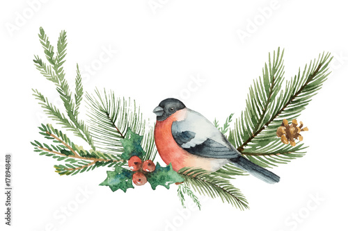 Watercolor vector Christmas wreath with fir branches and bullfinch.