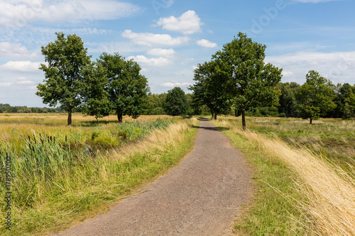 Moorlandschaft